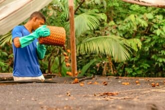 Edital de Apoio a Coletivos da Sociobioeconomia divulga resultado final com cinco iniciativas selecionadas na Amazônia Legal - FAS