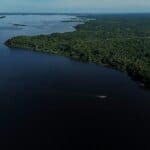Amazonas terá reforço de 153 brigadistas para prevenção e combate a incêndios florestais - FAS