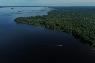 Amazonas terá reforço de 153 brigadistas para prevenção e combate a incêndios florestais - FAS