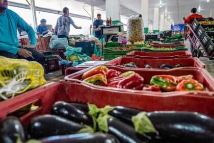 Campanha busca engajamento para reduzir desperdício de alimento